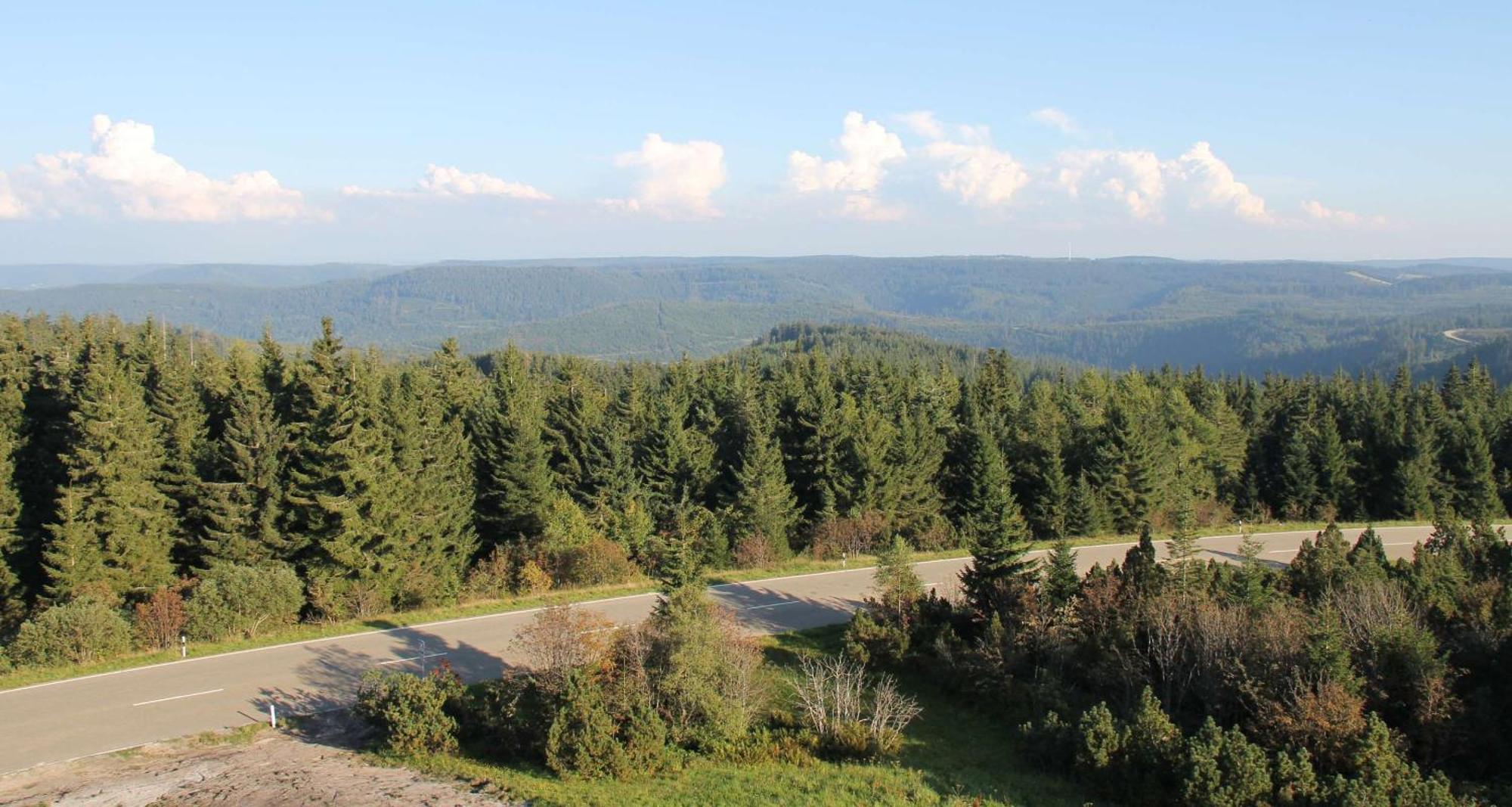 Wellness-& Nationapark Hotel Schliffkopf, Bwsc Baiersbronn Dış mekan fotoğraf