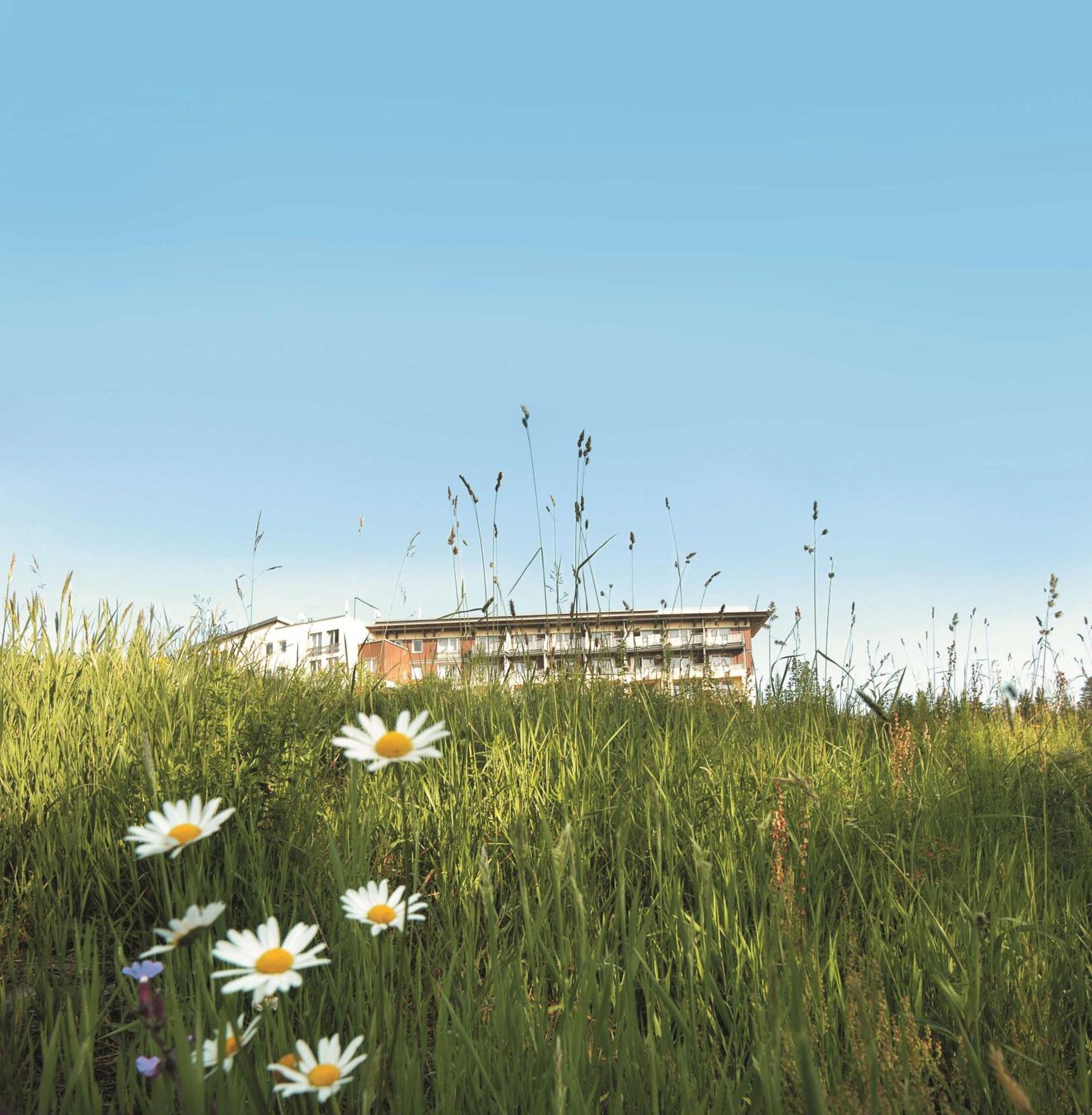 Wellness-& Nationapark Hotel Schliffkopf, Bwsc Baiersbronn Dış mekan fotoğraf