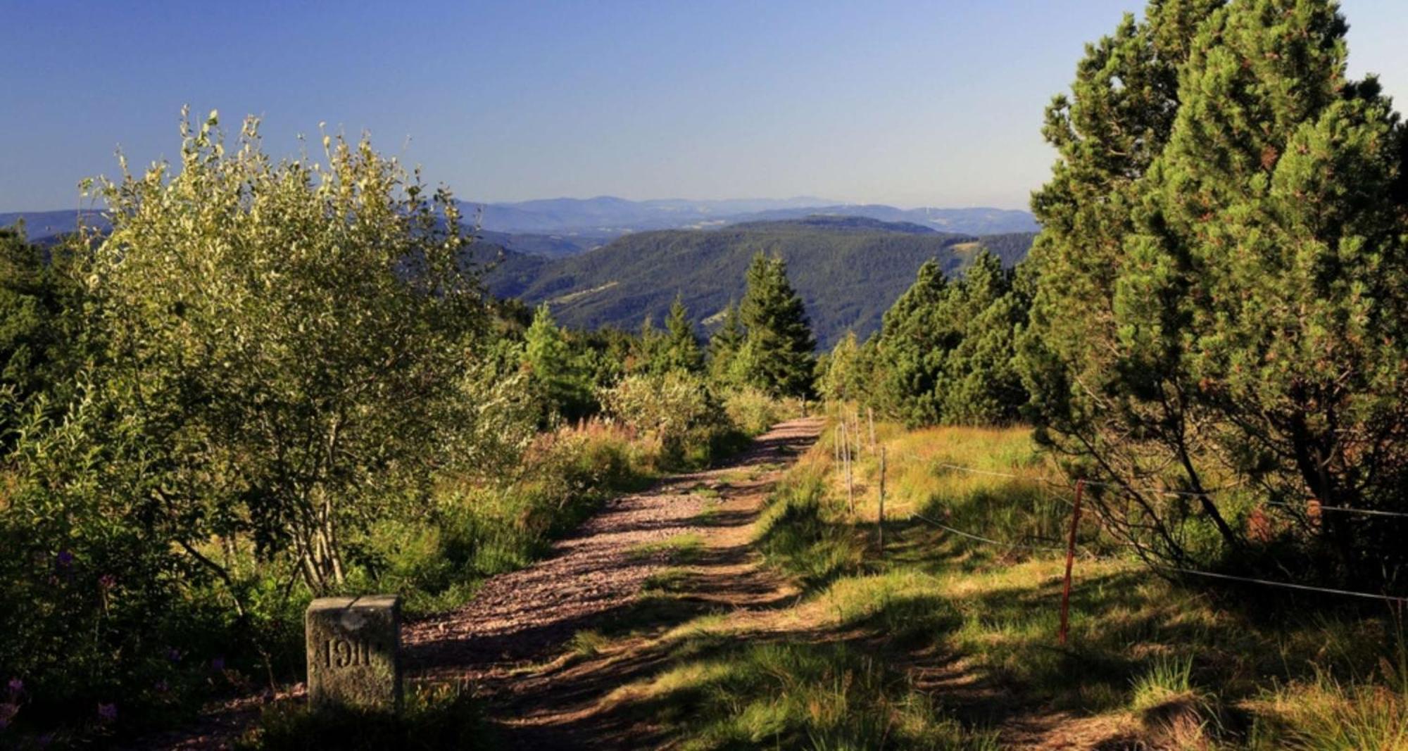 Wellness-& Nationapark Hotel Schliffkopf, Bwsc Baiersbronn Dış mekan fotoğraf